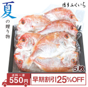 【予約】連子鯛の一夜干し 5枚 化粧箱入　～夏の贈り物 早期割引～