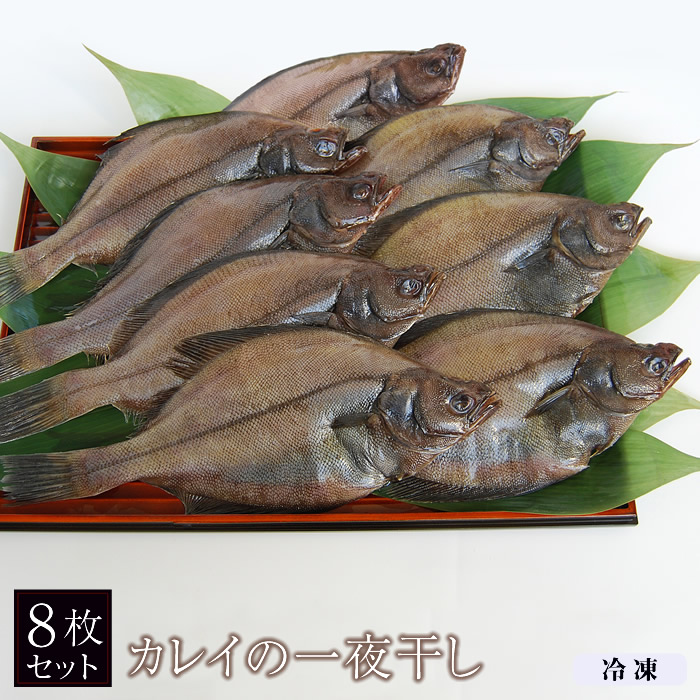 カレイの一夜干し（8枚） 株式会社 博多ふくいち