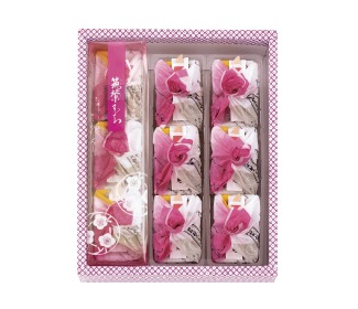 如水庵 筑紫もち 9個入