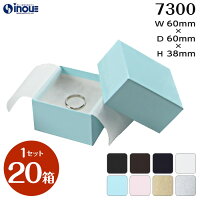 フェザーケース 7300 内寸:60W×60D×38H 外寸:66W×66D×40H 1セット20個 綿＋薄紙付き