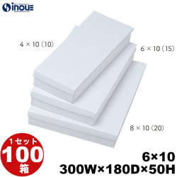 白無地箱 紙箱 ギフト箱 【6×10】 300W×180D×50H 底:平台紙 1セット100枚