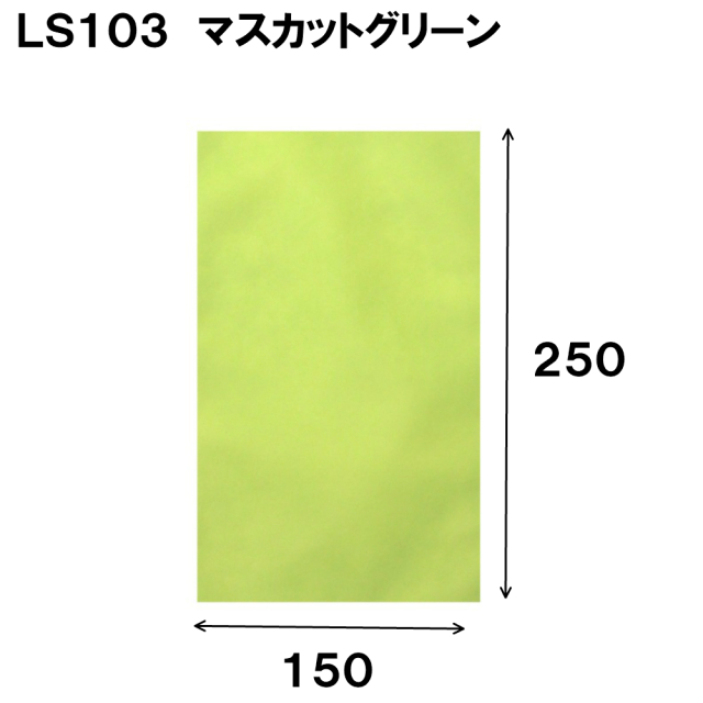 ラッピング 不織布 袋 ギフト ギフトラッピング ラッピング袋