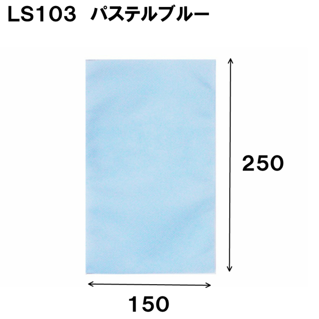 ラッピング 不織布 袋 ギフト ギフトラッピング ラッピング袋