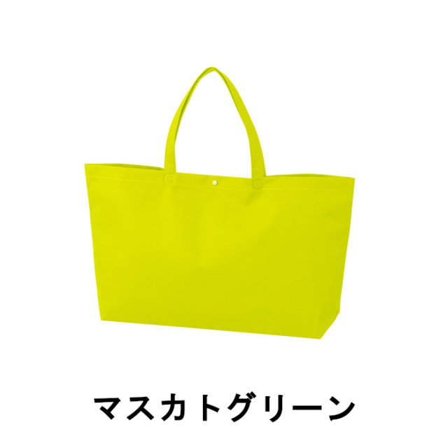 ラッピング 不織布 袋 ギフト ギフトラッピング ラッピング袋
