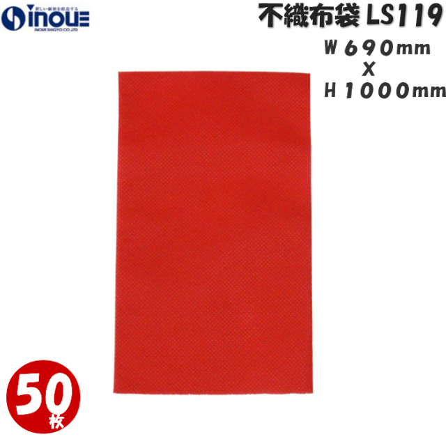 ラッピング 不織布 袋 ギフト ギフトラッピング ラッピング袋