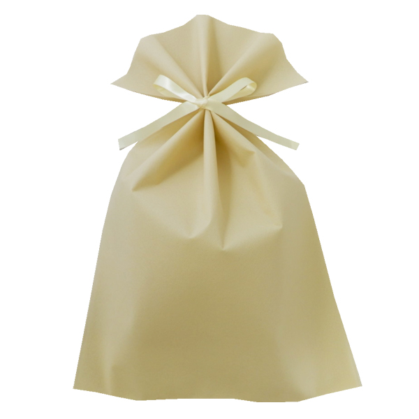 ラッピング 不織布 袋 ギフト ギフトラッピング ラッピング袋