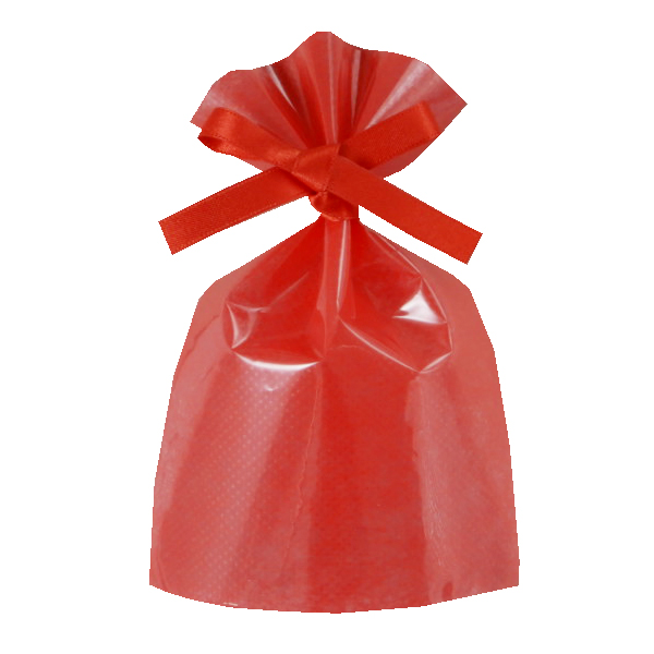 ラッピング 不織布 袋 ギフト ギフトラッピング ラッピング袋