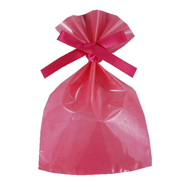 ラッピング 不織布 袋 ギフト ギフトラッピング ラッピング袋