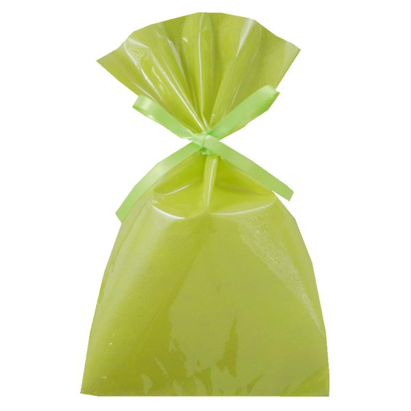 ラッピング 不織布 袋 ギフト ギフトラッピング ラッピング袋