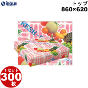 包装紙 トップ ハトロン半才 860×620 1セット300枚 1枚あたり:26.66g 材質:純白 50g/m2