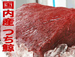 【国内産　つちくじら 約1kg（加熱用）　鯨肉　】 - 鯨　くじら　クジラ -