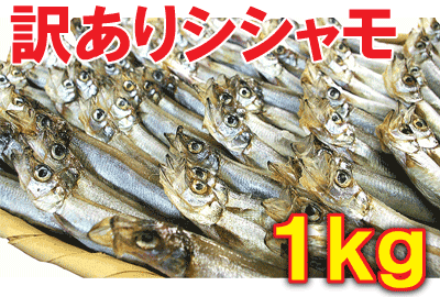 【訳ありシシャモ1kg】