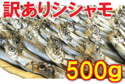 【訳あり子持ちシシャモ500g】