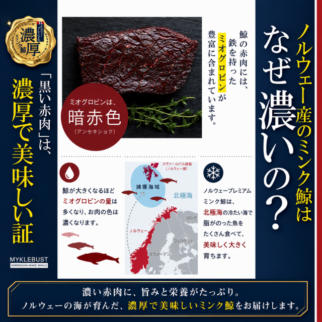 ミンクくじらの特徴について
