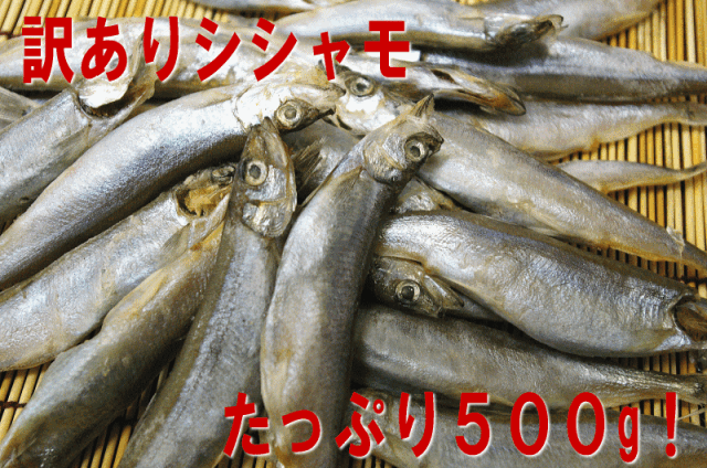 ししゃも500