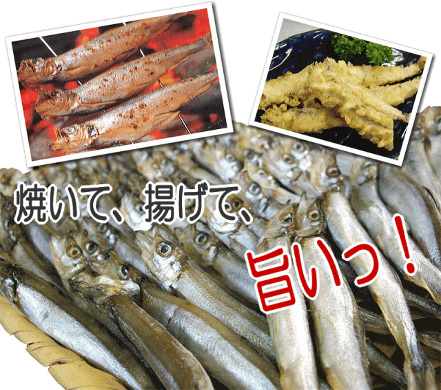 ししゃも