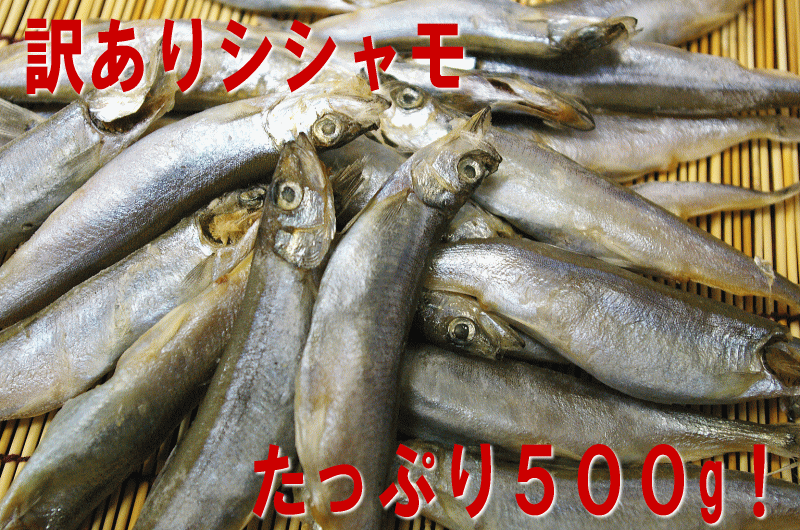 ししゃも500