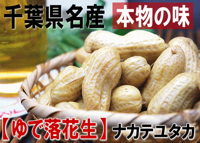 【茹で落花生：ナカテユタカ300g】