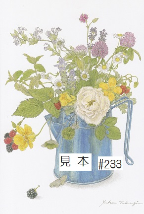 高木唯可ポストカードBグループ（＃188-240）