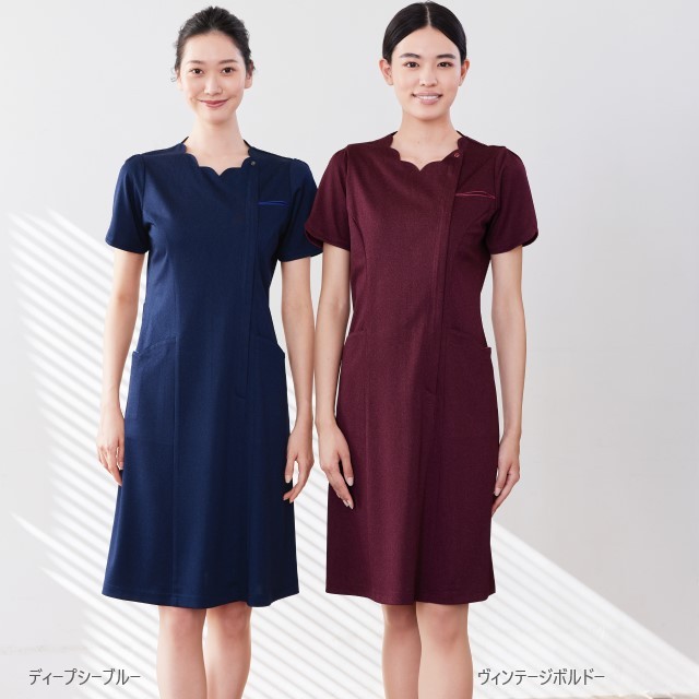 6107 ナガイレーベン ナースウェア ワンピース 女性用 Phsポケット おしゃれ ループ付き ペン差し 制菌加工 制電 吸水 防汚 Nagaileben 医療用 看護師 介護 受付 エステ クリニック レディース 白衣ネット本店