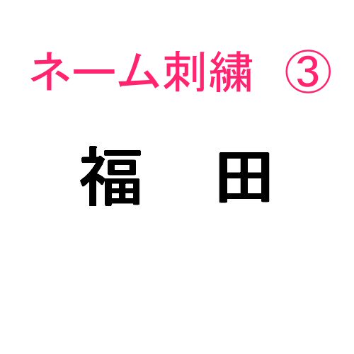 ネーム刺繍3(,個人名・名字 日本語)