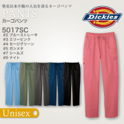 【Dickies】男女兼用カーゴパンツ 　5017SC[フォーク]