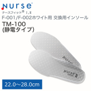 F-TM-100.JPG