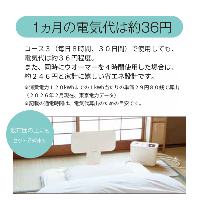 メーカー直販・配送無料【ヘルストロン HEF-N6000WG】6000V 3電極