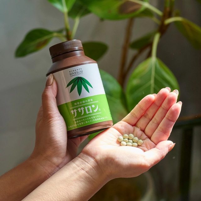 白寿生化学研究所アルカロン&ササロン20%増量390g✕2セット 白寿生化学研究所アルカロン&ササロン20%増量390g✕2セット