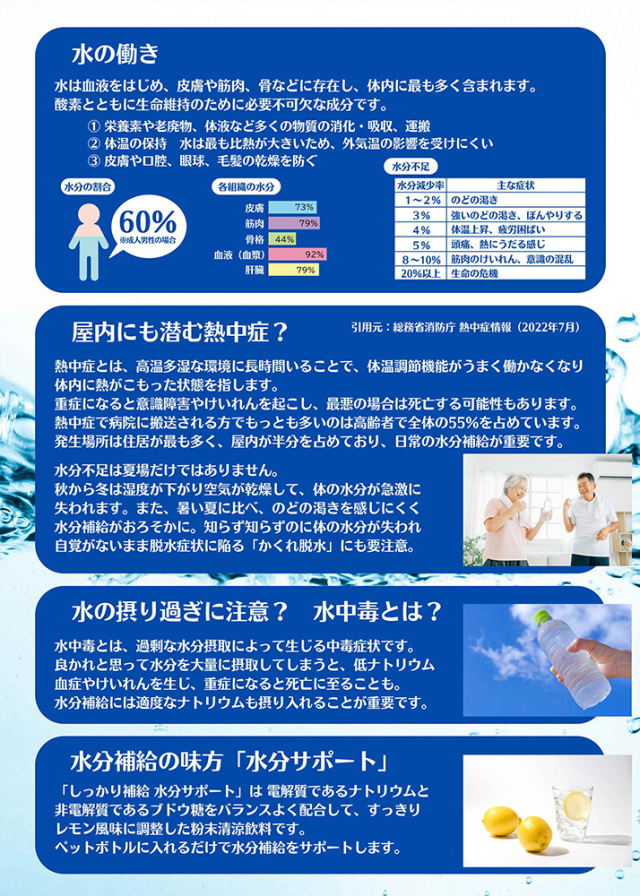 しっかり補給 水分サポート(5個セット) 完全未開封、未使用 しっかり補給 水分サポート ほのかなレモン風味 粉末清涼飲料