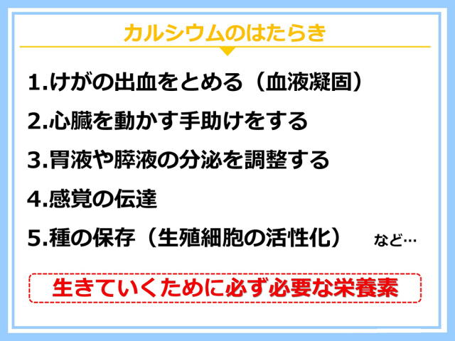 エルイオンカルシウム8910】溶けやすいL型発酵乳酸カルシウムをイオン化 大瓶 720ml入り｜白寿生科学研究所公式通販サイト