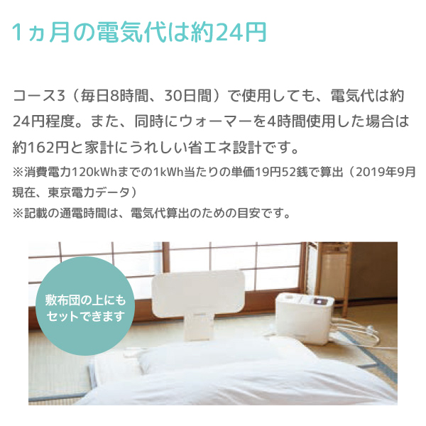 メーカー直販・配送無料【ヘルストロン HEF-N6000WG】6000V 3電極 ベッド/布団タイプ ※ポイント対象外