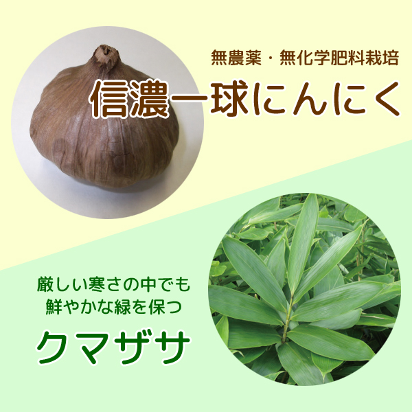 ササニンゴールド原材料　クマザサ　信濃一球にんにく