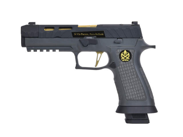 Para Bellum  P320 Spectre Comp 4.6in (Grey)