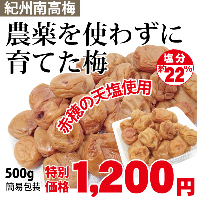 紀州南高梅 農薬を使わずに育てた梅 赤穂の天塩使用 500g 塩分約22% 簡易包装 梅と塩のみ素朴な梅干 添加物不使用 キズ 果皮固め含む