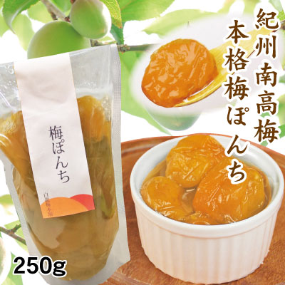 梅ぽんち 紀州南高梅のコンポート 250gスタンドパック詰 添加物不使用 和歌山 みなべ 自家梅園産 梅 シロップ漬