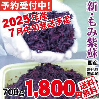 予約受付中 2025年産 新もみ紫蘇 しそ 7月中旬~順次発送 予定