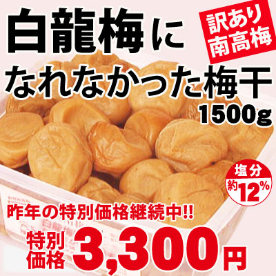 創業祭限定 訳あり 紀州 南高梅 白龍梅になれなかった梅 1500ｇ 塩分約12％ 簡易包装 和歌山 みなべ 自家梅園産 梅干