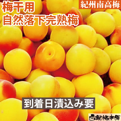 ちーページ　青梅　5ｋｇ　熟し梅　5ｋｇ 送料無料・冷凍青梅】紀州南高梅の冷凍青梅5kgセット：本場