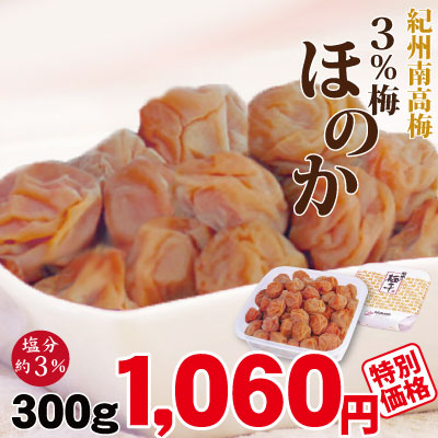 お中元限定価格 塩分 3％梅ほのか 300g 簡易包装 紀州南高梅 小粒
