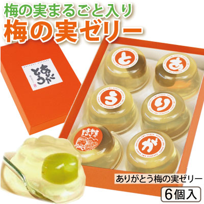 「ありがとう」のメッセージ付き！　梅の実ゼリー（6個入り）