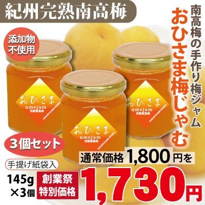じゃむさま 専用ページ（おひさま梅じゃむ 紀州 南高梅 完熟梅