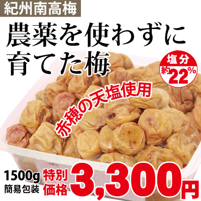 紀州南高梅 農薬を使わずに育てた梅 赤穂の天塩使用 1500g 塩分約22% 簡易包装 梅と塩のみ素朴な梅干 添加物不使用 キズ 果皮固め含む