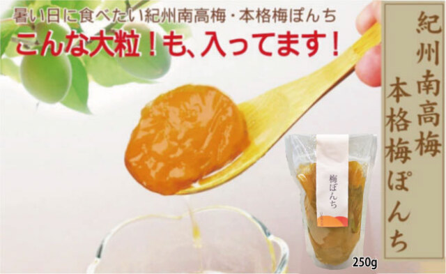 梅ぽんち 紀州南高梅のコンポート 250g×2 スタンドパック詰 添加物不