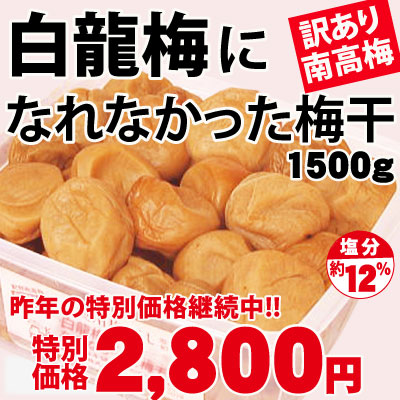 創業祭限定 訳あり 紀州 南高梅 白龍梅になれなかった梅 1500ｇ 塩分約12％ 簡易包装 和歌山 みなべ 自家梅園産 梅干