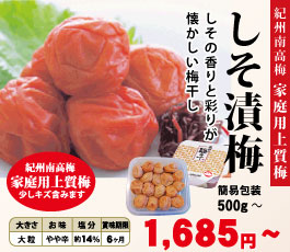 少しキズあり含む 紀州 特選 南高梅 家庭用 上質梅 しそ漬梅 500g～ 簡易包装 塩分約14％ 和歌山 みなべ 梅干