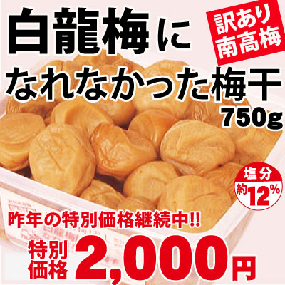 創業祭限定 訳あり 紀州 南高梅 白龍梅になれなかった梅 750ｇ 塩分約12％ 簡易包装 和歌山 みなべ 自家梅園産 梅干
