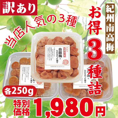 創業祭限定 訳あり 紀州 南高梅 お得 3種詰 各250g 計750g 塩分約12％ 簡易包装 和歌山 みなべ 自家梅園産 梅干