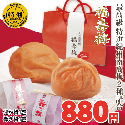 最高級 特選 紀州 南高梅 福寿梅 (ふくじゅうめ) 超特大梅・高級和紙包 寿ぎ梅１包・健か梅１包 計2個入 小さな 手提げ袋入 プチギフト 送賓ギフト 贈り物 食べくらべ 食べ比べ