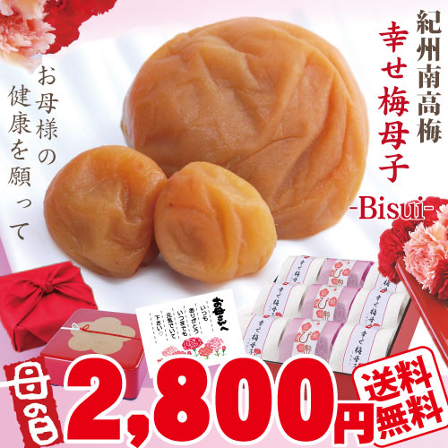 遅れてごめんね 送料無料 母の日 ギフト 紀州南高梅 梅干 梅干し 「幸せ梅母子 -Bisui-」特選梅 2種と 梅スイーツ Bisui bitter 詰合 和紙包 可愛い梅 詰合 特製赤重箱 風呂敷包 選べるカーネ・カード付 お母さまの 健康 を願って♪
